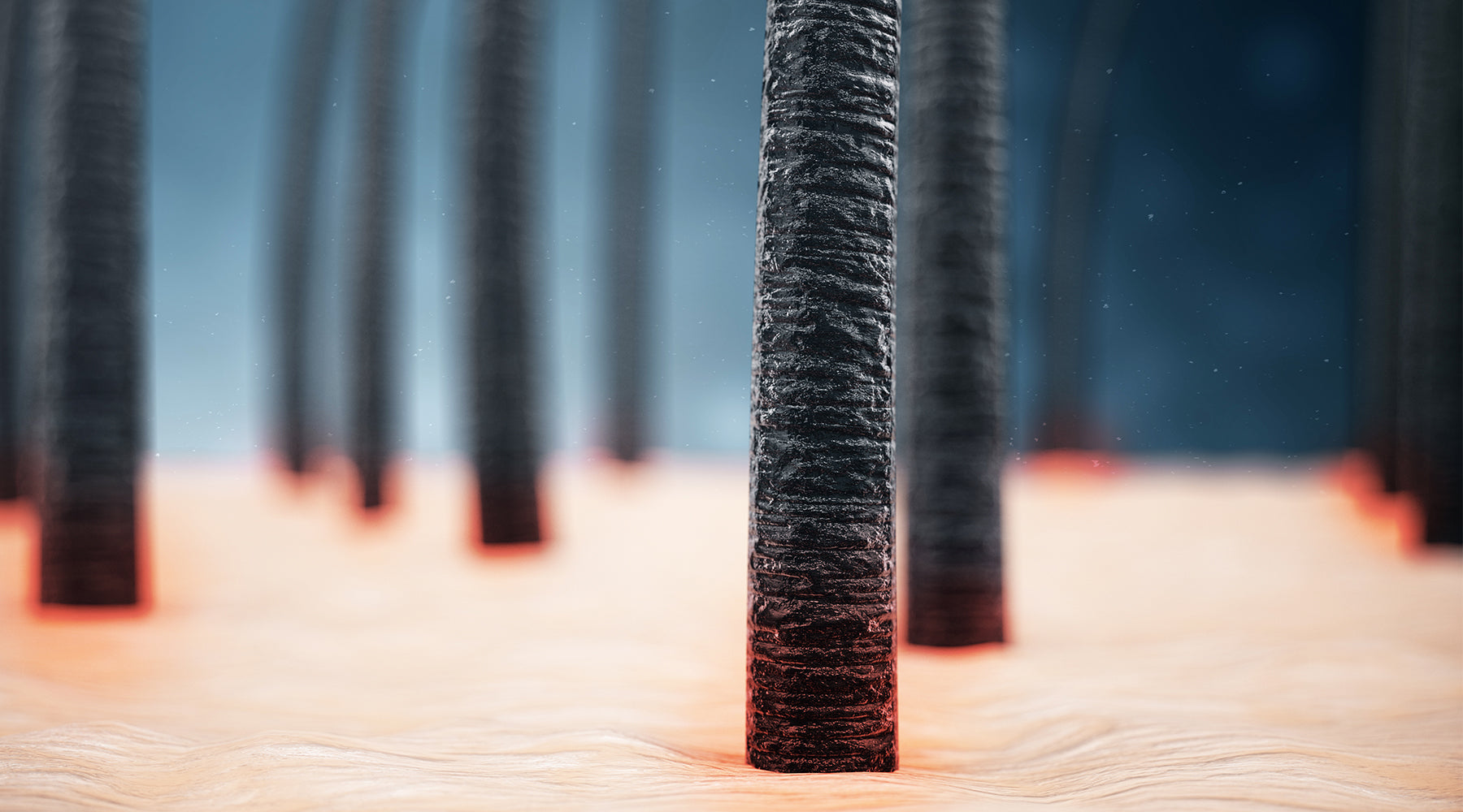 Benefits of Hemi-Squalane for Hair