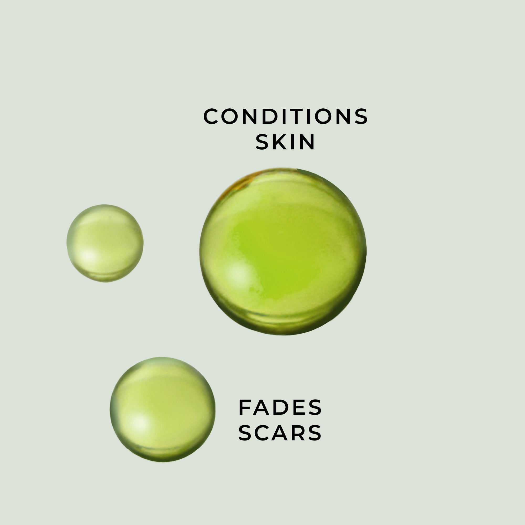 Conditions skin fades scars