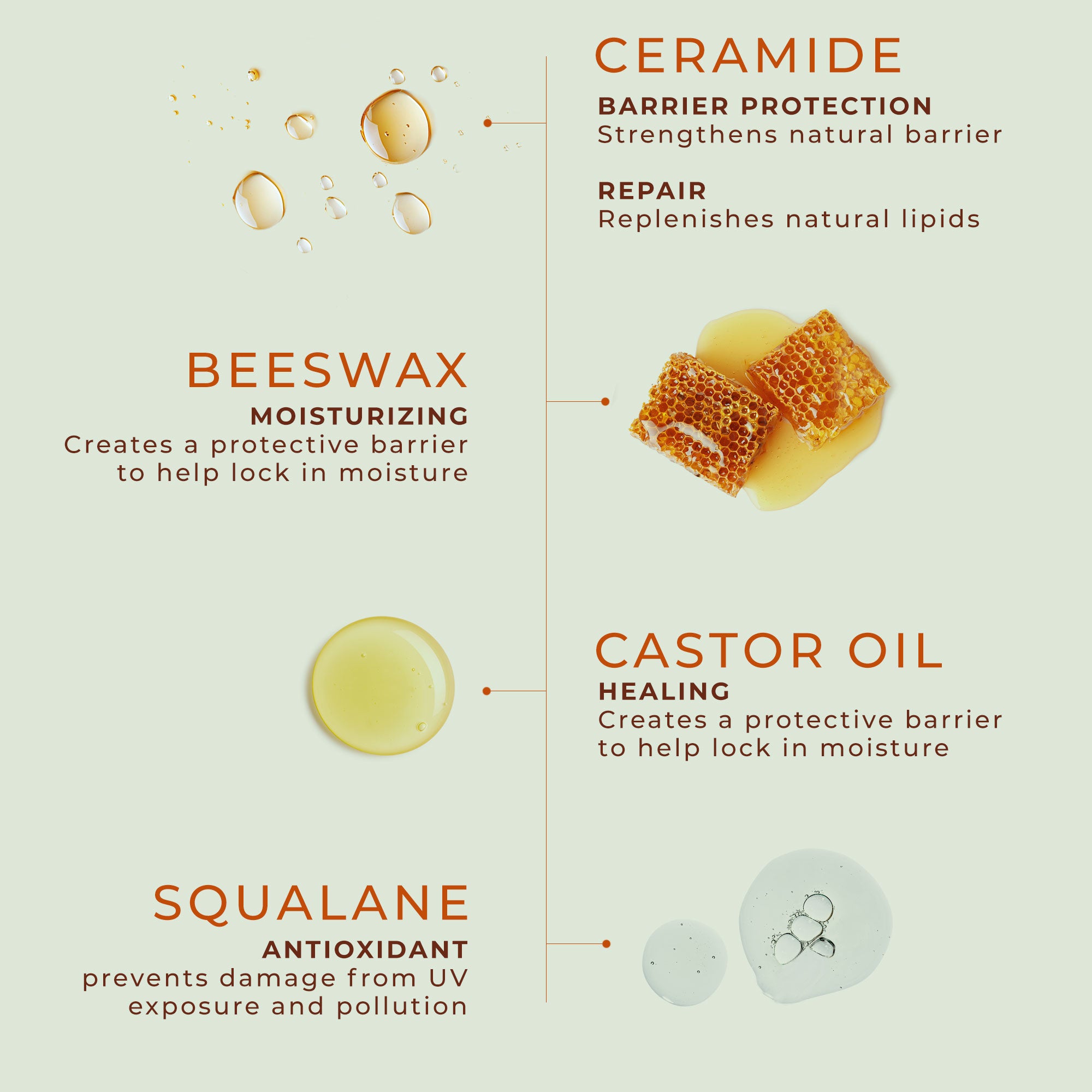 Beeswax, ceramide, Squalane, Castor oil