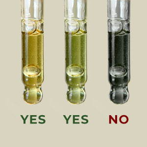 what color should tamanu oil be