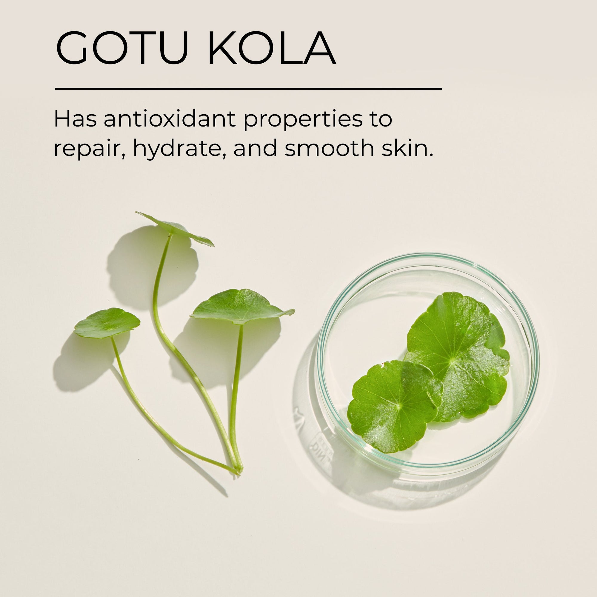 Multi Peptide Hydro Eye Gel Sulina Shop