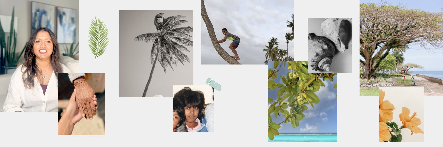 Behind Sulina | Founders