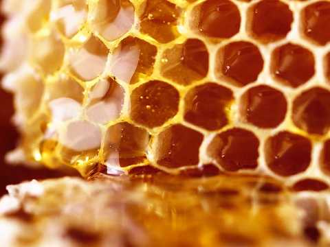 Watch our video on youtube for Unscented Fragrance Free Lip Balm